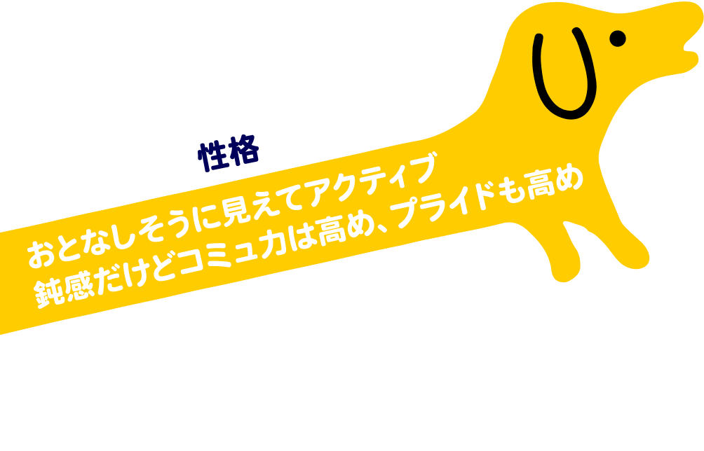 性格はおとなしそうに見えてアクティブ。鈍感だけどコミュ力は高め、プライドも高め