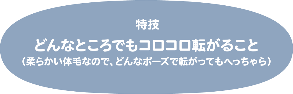 特技はどんなところでもコロコロ転がること（柔らかい体毛なので、どんなポーズで転がってもへっちゃら）