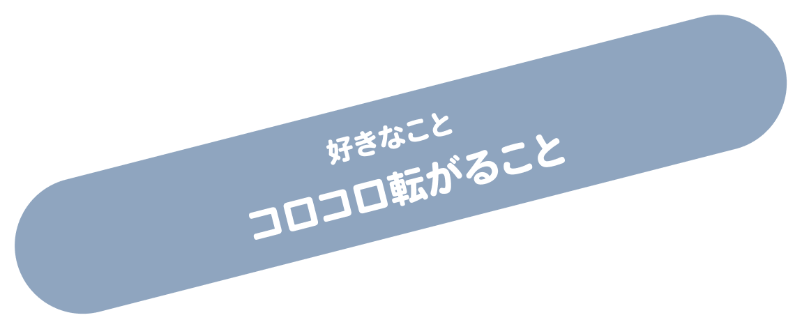 好きなことはコロコロ転がること