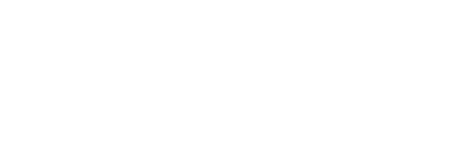 CAMPAIGN