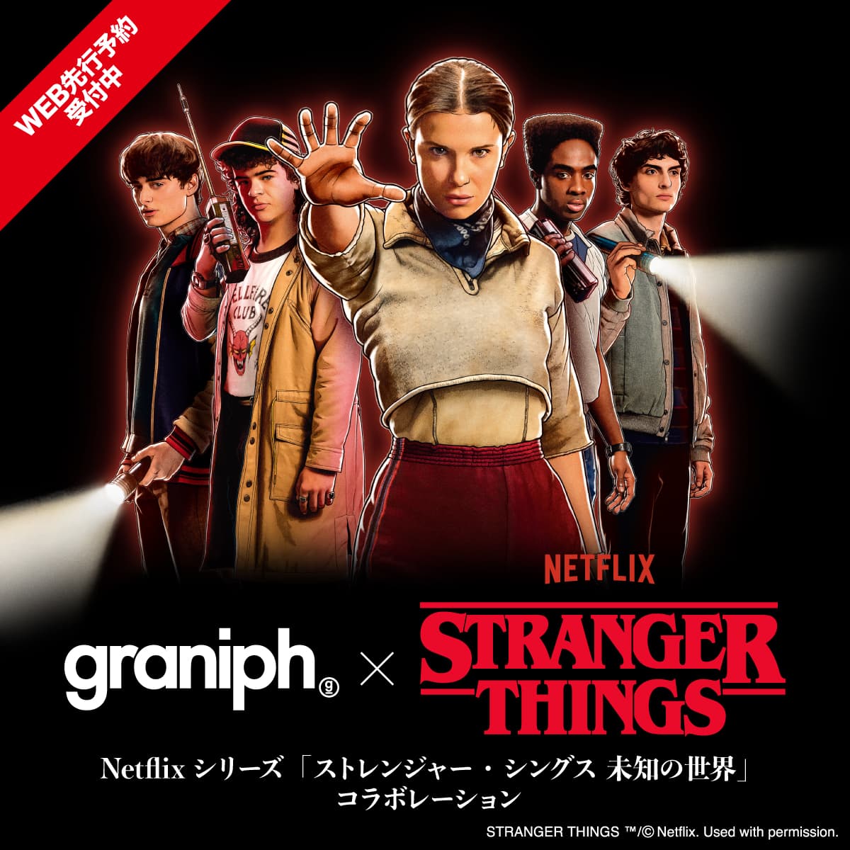 ストレンジャー・シングス 未知の世界