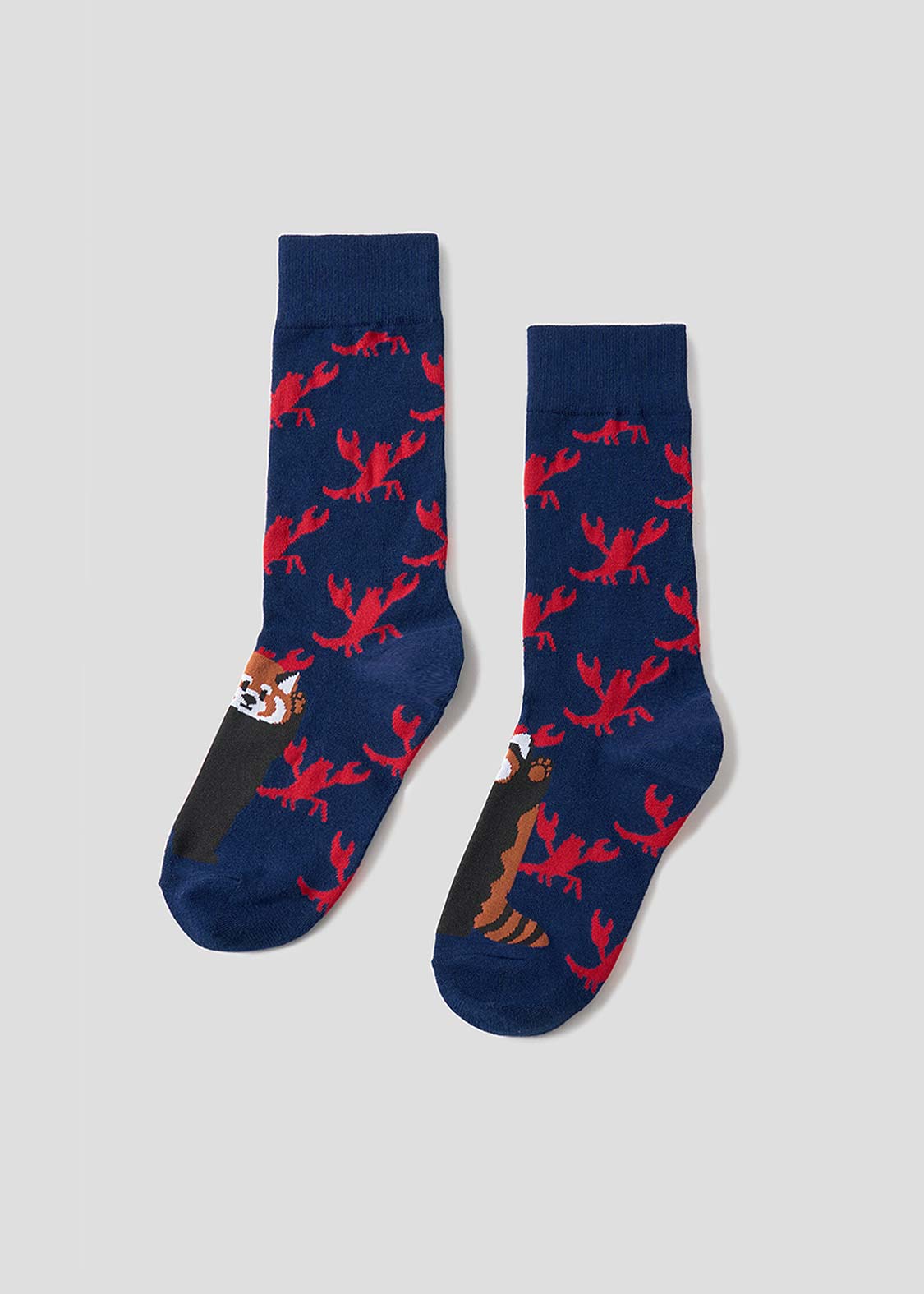 イカク｜ロングソックス