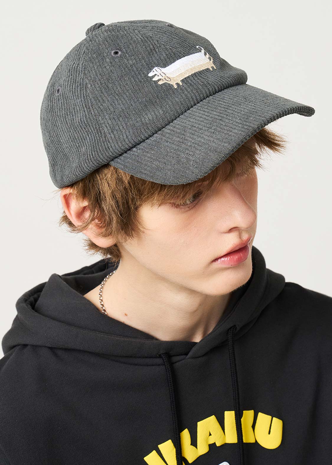 ナガスギルイヌ 帽子