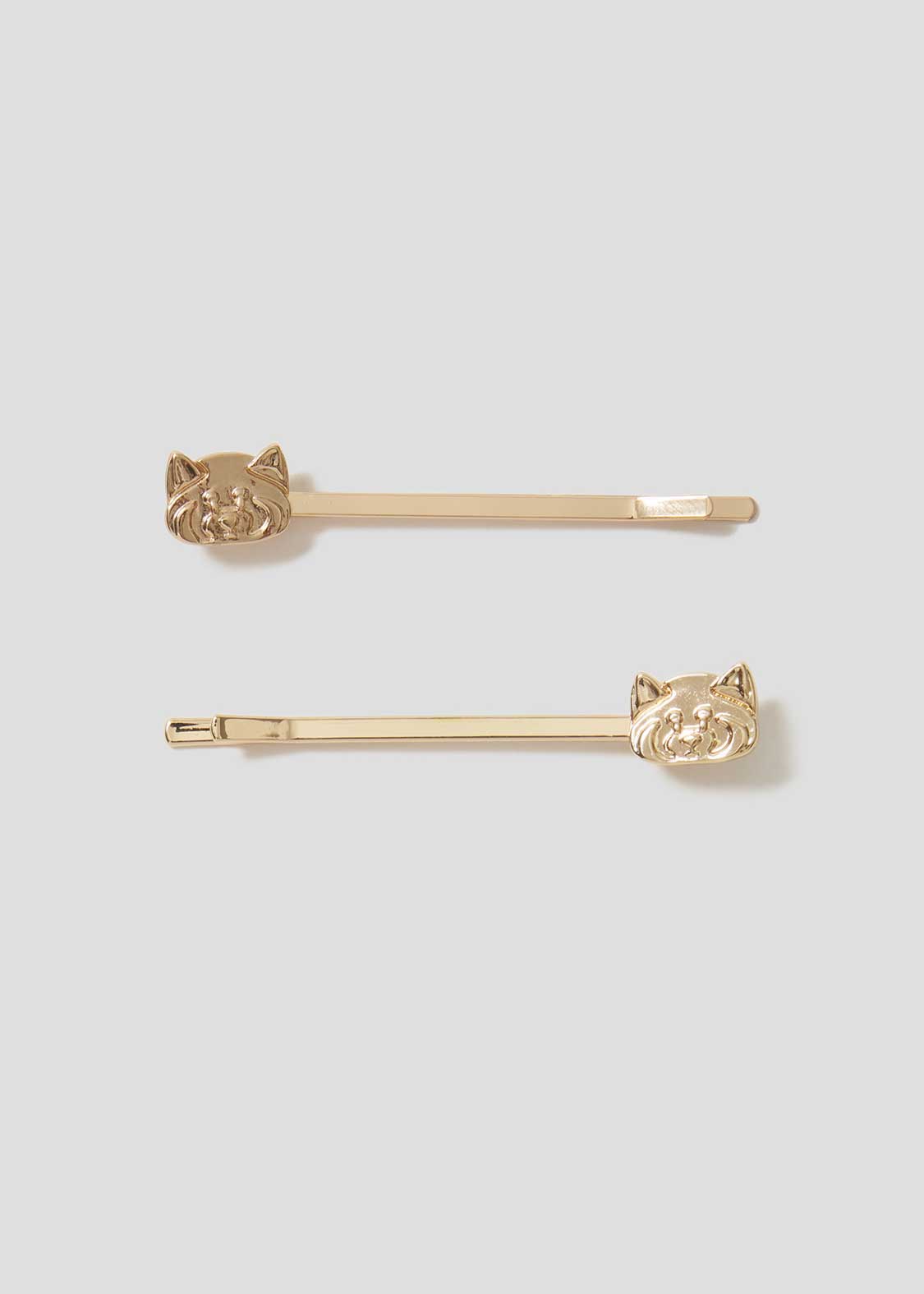 Gynanisa maja ♂♀ペアセット Gynanisa maja ♂♀ペアセット 昆虫用品